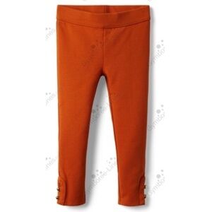 Janie and Jack Stables and Fables Ponte Pants Size 7